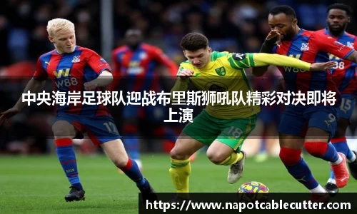 sunbet官网