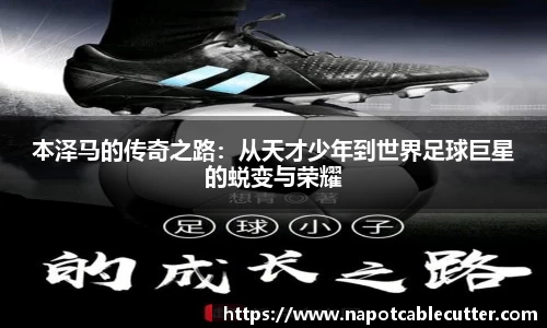 sunbet申搏