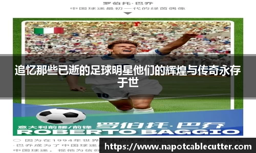 sunbet官网