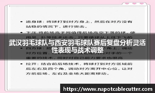 sunbet申搏