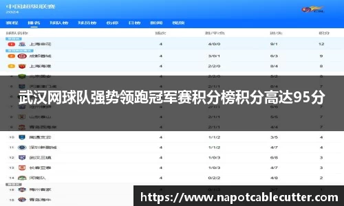 武汉网球队强势领跑冠军赛积分榜积分高达95分