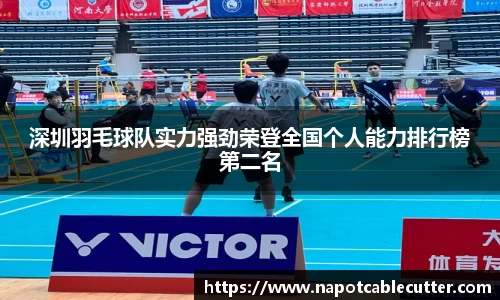 深圳羽毛球队实力强劲荣登全国个人能力排行榜第二名